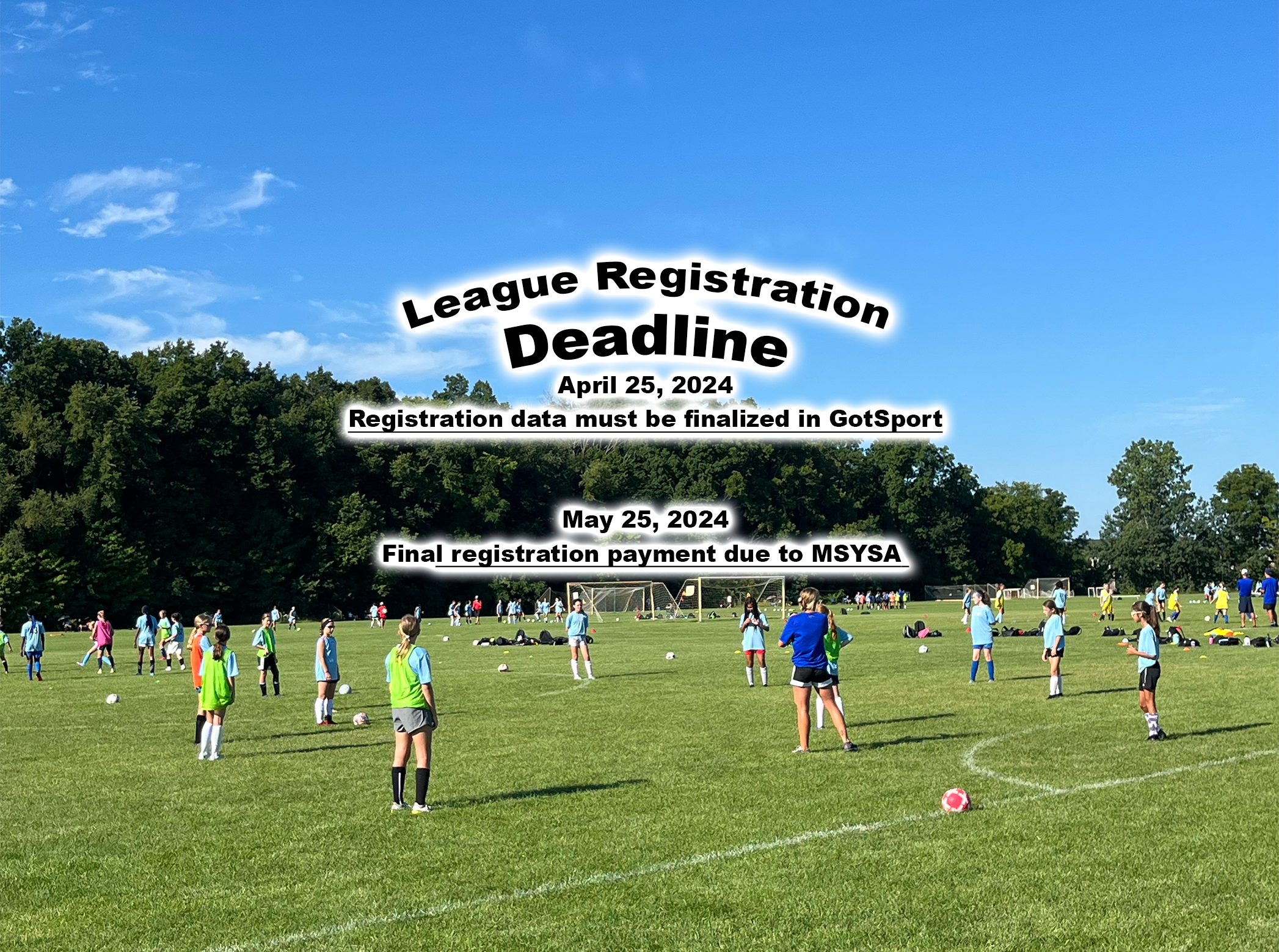Homepage - Michigan State Youth Soccer Association